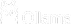 Slide 6