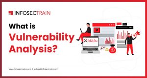 What is Vulnerability Analysis?