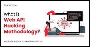 What is Web API Hacking Methodology?