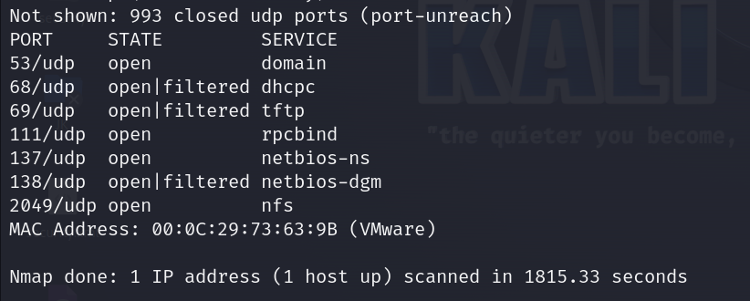 UDP scan