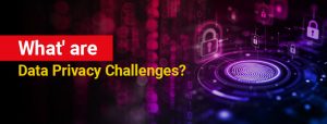 What are Data Privacy Challenges?