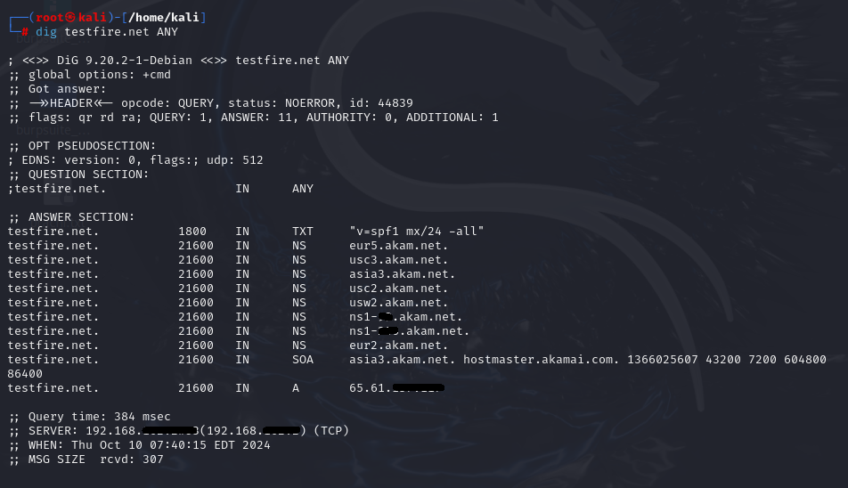 DNS Record Enumeration