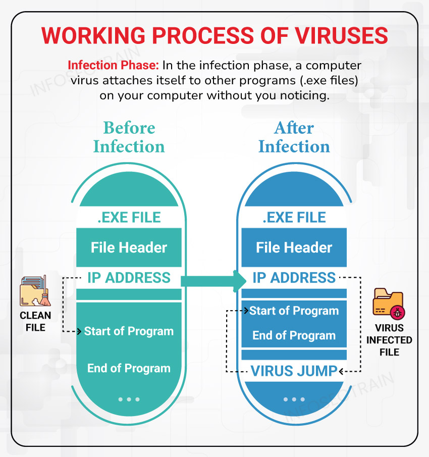 Working Process of Virus