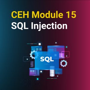 CEH Module 15: SQL Injection