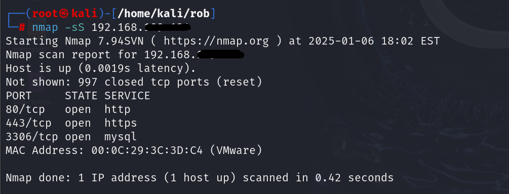 TCP SYN Scan