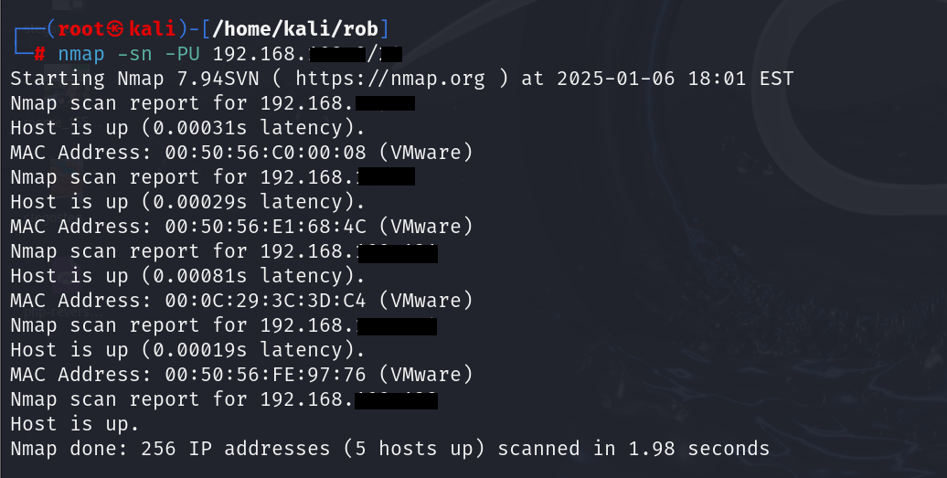 UDP Ping Scan