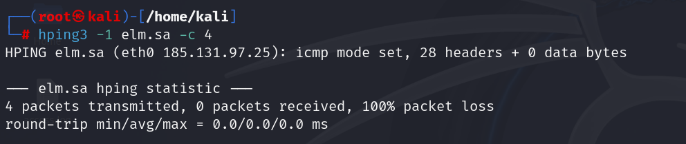 Basic Ping Scan