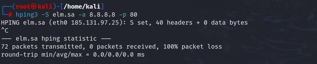 Spoofed Source IP Testing