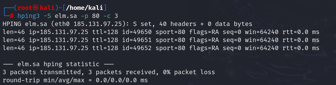 TCP SYN Scan 